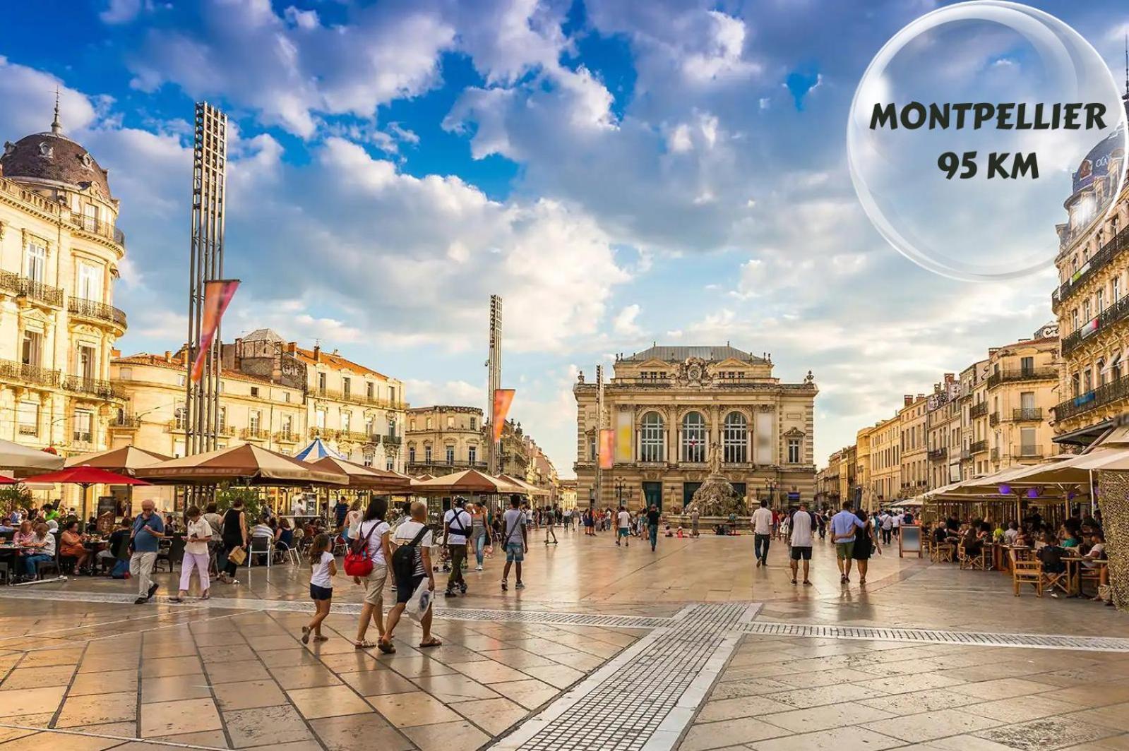 Apartament Le Cosy Du Gal, A 2 Pas Du Palais Des Papes Parking Gratuit Securise Awinion Zewnętrze zdjęcie