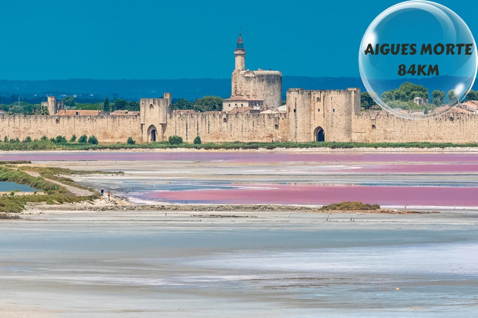 Apartament Le Cosy Du Gal, A 2 Pas Du Palais Des Papes Parking Gratuit Securise Awinion Zewnętrze zdjęcie